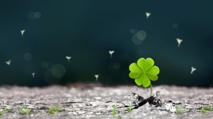 如果我们缺钱缺爱缺时间,正念能做什么?