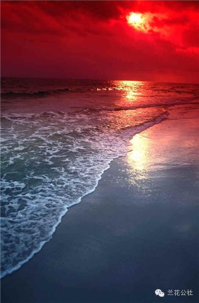 此生,来世 ! 美极了!