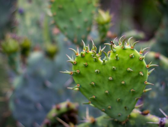 句句戳心|又毒又戳心的句子|戳心是什么意思|句