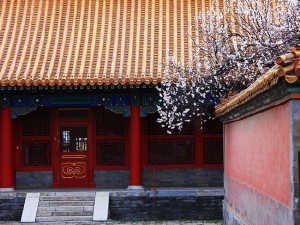003952de0cafa5a11670dfa73fe48241_640_480.jpg