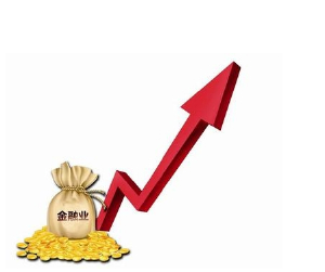 收入证明_收入流(3)