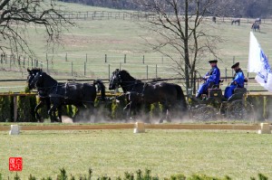 2015东欧旅游庆典之旅 原创作品