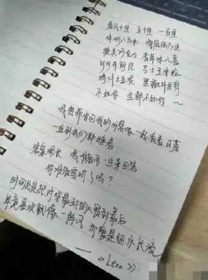 a05cd9315fad137f8d3d5c578fd50234_357_480.jpg
