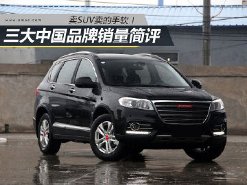 火药味不要太浓 三大中国品牌8月销量点评