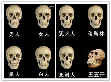 55开称若风直播必化妆 鼻子一次消费2000块?