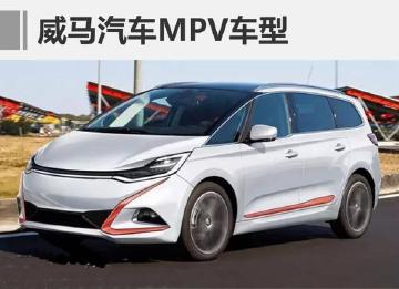 威马汽车：抄袭不重要，我只想混个脸熟