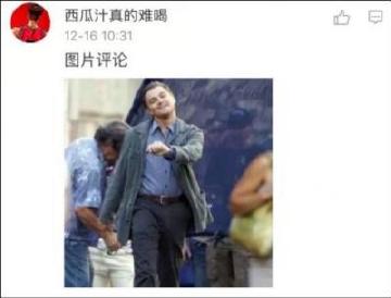 小李子代言比亚迪？网友发现自己被套路了