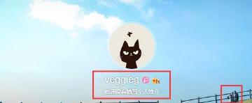 天后王菲到底有多任性？ 她的微博个人简介就暴露了一切！