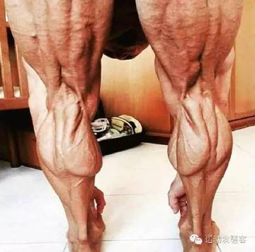 他们的体脂率到底有多低?已经形同恐怖的“木乃伊”