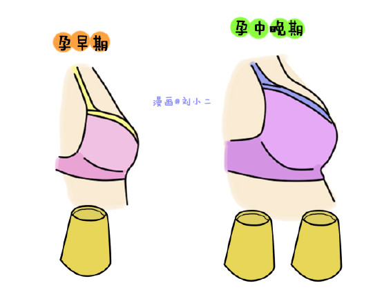 怀孕|麻麻|胸部_新浪育儿_新浪网