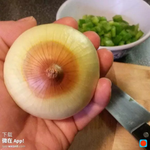 关于乳房的冷知识,<em>非常</em>重要_新浪悦读_手机新