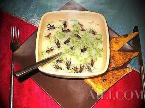 舌尖上的罪孽 图揭流传至今的中国10大禁菜