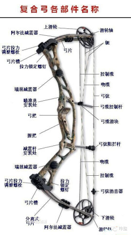 复合弓原理是什么_复合弓滑轮原理图片