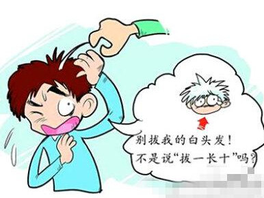 涨姿势:白<em>头发</em>真的<em>拔</em>一<em>长</em>十吗?
