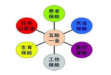 收入证明_社保费收入分析(3)