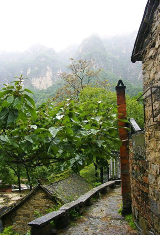 http://m1.sinaimg.cn/maxwidth.640/m1.sinaimg.cn/177117f8ec555ff150383766224d3ed2_633_402.jpg