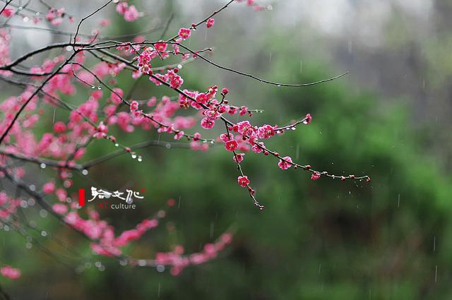 歌曲春花秋月曲谱_春花秋月(5)