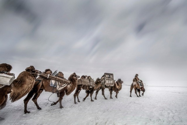 虚实相生-中国摄影报