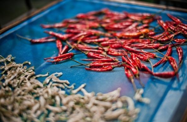 绝对不能进微波炉的各种东西,真的<em>非常</em>危险!-女