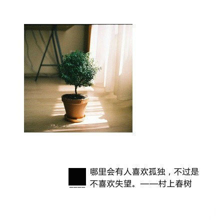 村上春树的经典语录做成的带字的图片，挺美的-小清新-时尚资讯