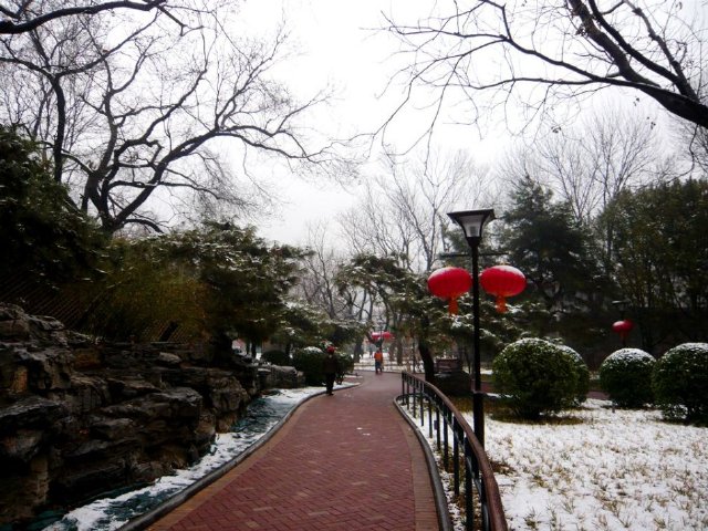 实拍:大年初一雪打灯