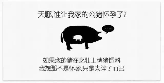 瘦身沙雕广告文案,瘦身沙雕广告文案怎么写