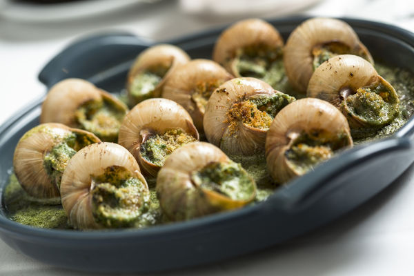 吃蜗牛有什么作用 147f10c927ec1b0d6e6cc74d3159d499_600_400.jpg