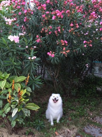 Cut!不拍了! 这借位吻戏你俩演的有没有走心你