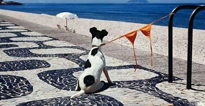 【趣图】<em>姑娘不</em>带罩罩<em>是怎样一种体验</em>_新浪悦