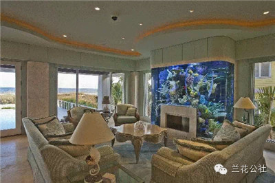 想知道比尔盖茨家的鱼缸长什么样吗?