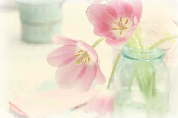 十句话送给晚上睡不着觉的人