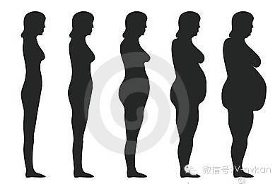 减重≠减脂!附减脂攻略最v攻略饼干秀瘦身爱美肌真人素堂悦图片