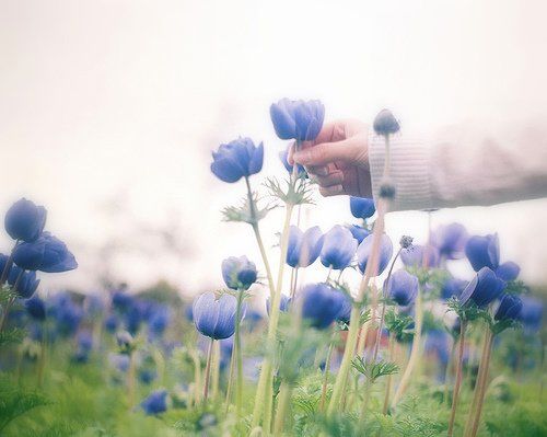 境界人生感悟 20d7138aadc04a2a4afa67e7e63f9e1a_500_399.jpg