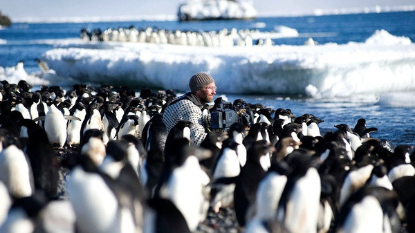 BBC纪录片《冰冻星球》