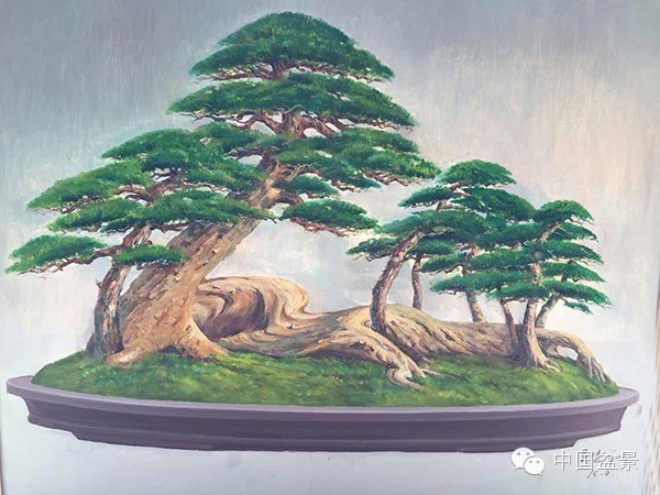 中国风景园林学会花卉盆景赏石分会第八届理事