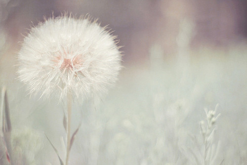 十句话送给晚上睡不着觉的人