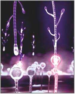 青春那张不老的脸也需要保养!