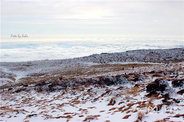 元旦去济州岛好吗,2017元旦济州岛天气预报_