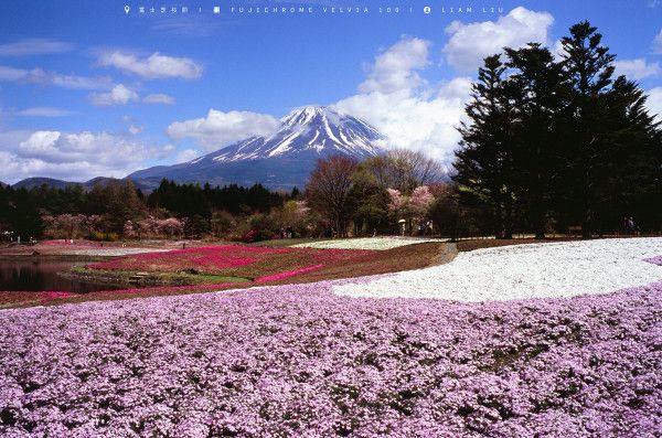 富士山在日本哪个城市,富士山在东京吗