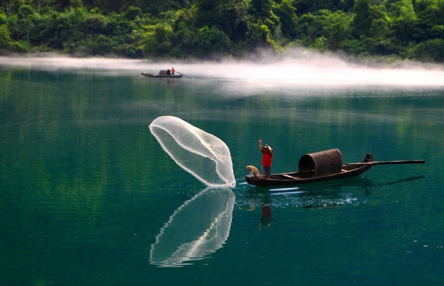 动静相宜-中国摄影报