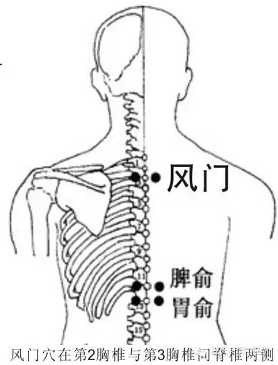 肺俞,位置在人体背部第三胸椎棘突下旁开1.5寸.