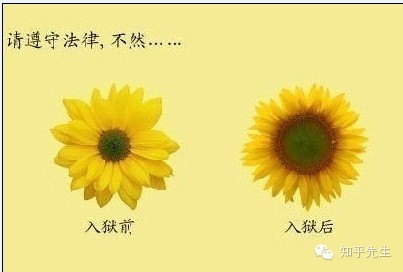 <em>吸毒溜冰妹现场</em> ,90后后溜冰吸毒图片,女性吸毒