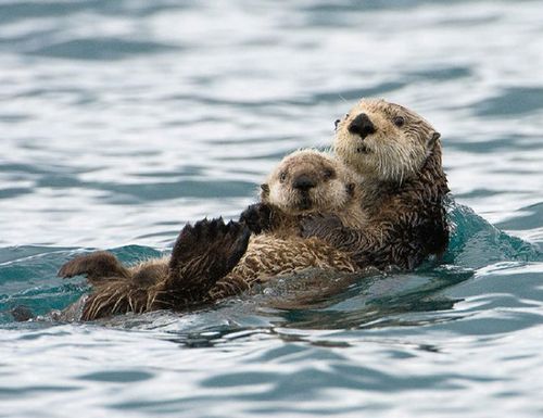 因为我们是一家人,相亲相爱的一家人…!