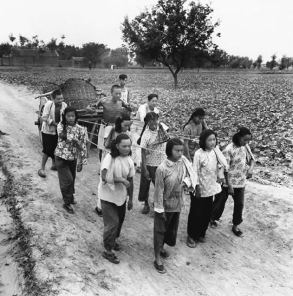 1982年河南安阳军区灵异事件真假,1982年河南安阳军区灵异事件真假视频