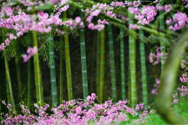 上坪观海:不是海,胜似海-中国摄影报