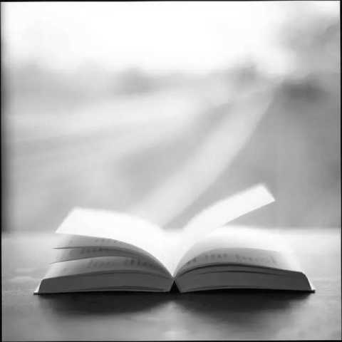 吴淡如:租来的人生