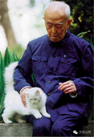 胡适之_胡适之简介_站在胡适之先生墓前 - 图片