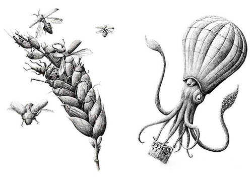 脑洞大开的移花接木