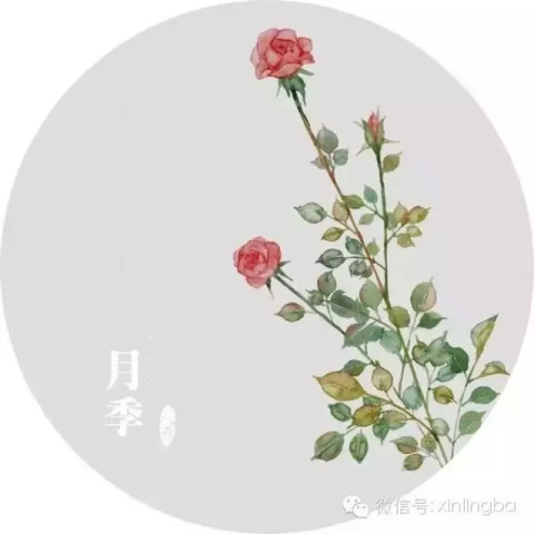 晚安心语:不是去爱那个本来就很美的人;而是去