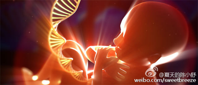 从怀孕到两岁,生命发育最重要的1000天